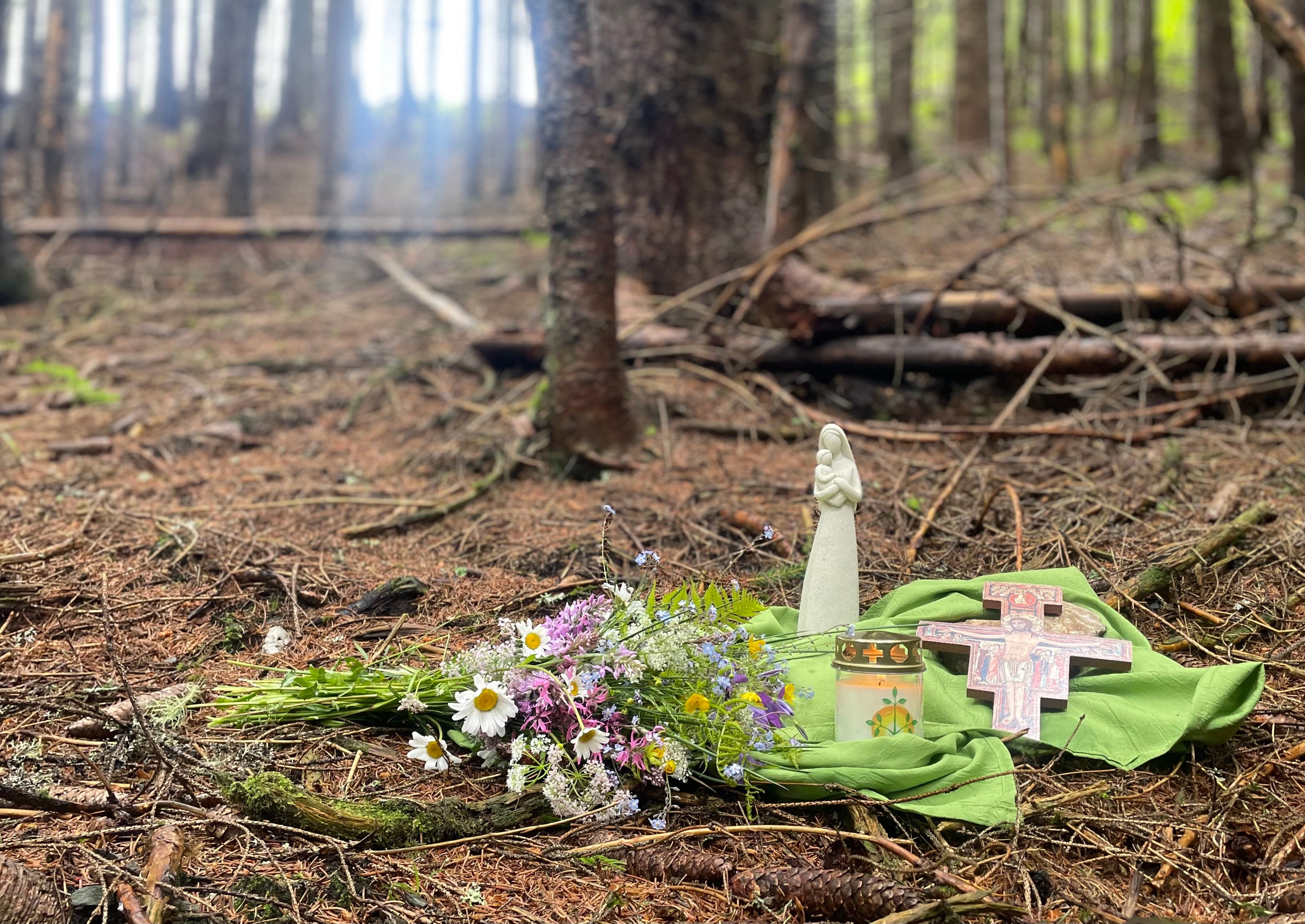 Die Fundstelle der ermordeten Maria Köck.