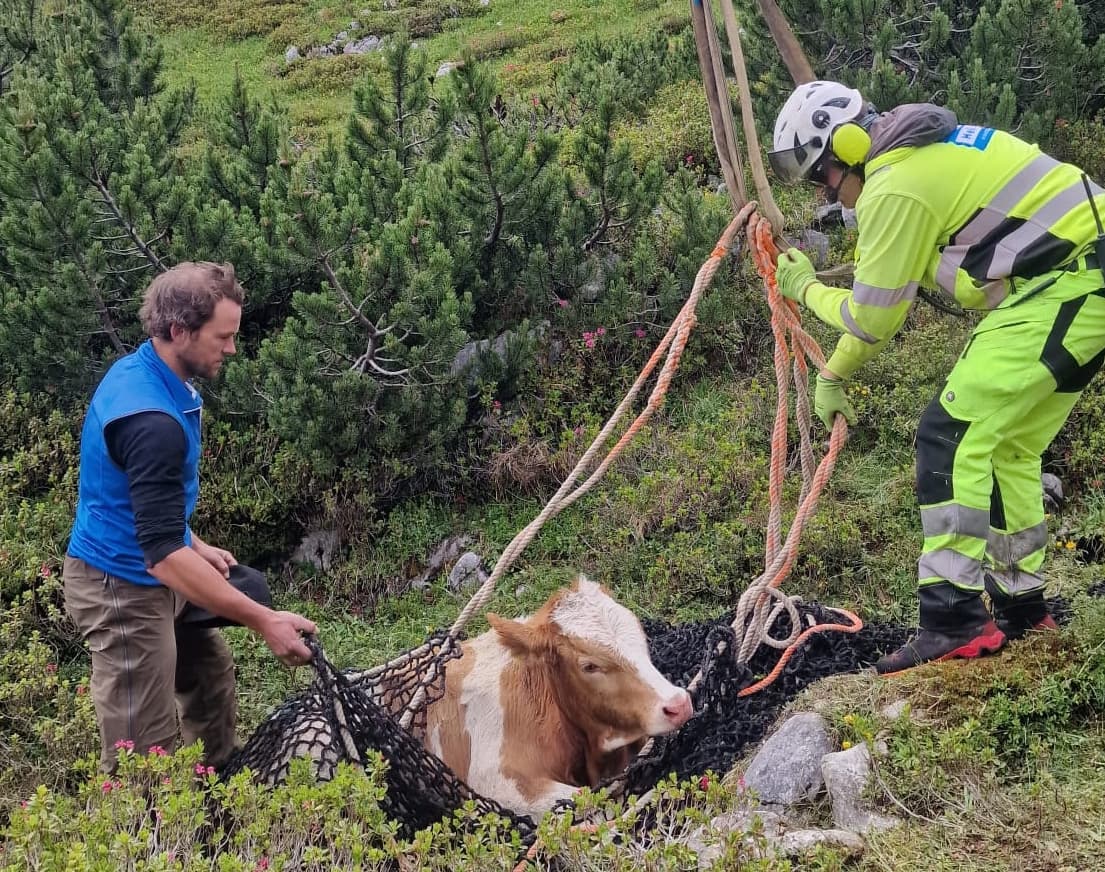 Mittels Bergenetz konnte das Tier aus der Doline gerettet werden.